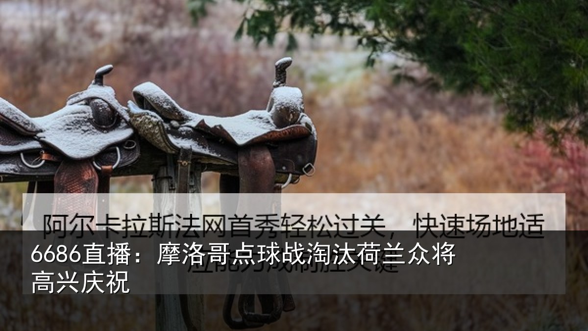 6686直播:摩洛哥点球战淘汰荷兰众将高兴庆祝