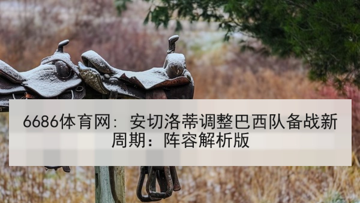 6686体育网: 安切洛蒂调整巴西队备战新周期:阵容解析版 6686体育网: 安切洛蒂调整巴西队备战新周期:阵容解析版